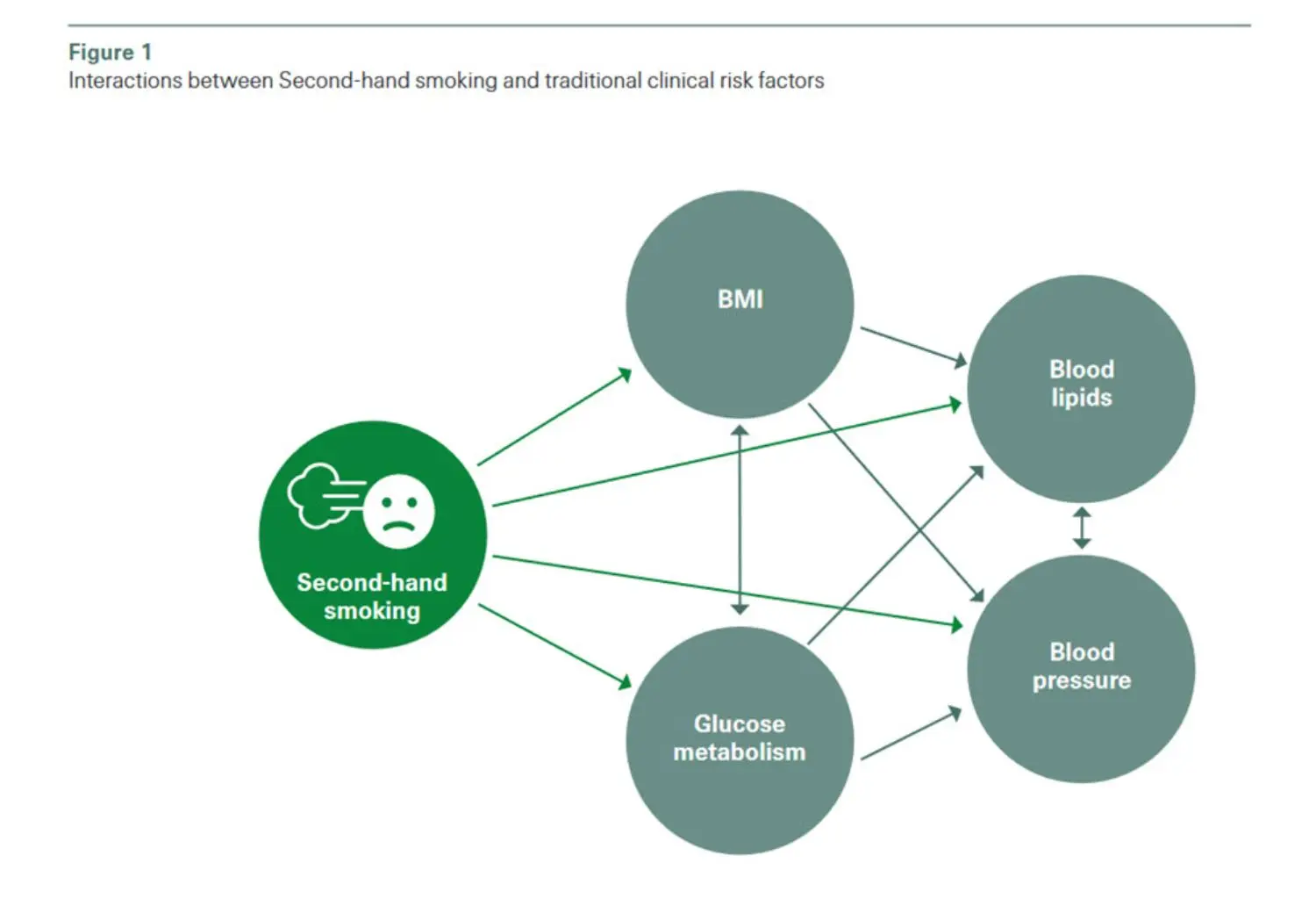 Interactions between Second-hand smoking and traditional clinical risk factors.