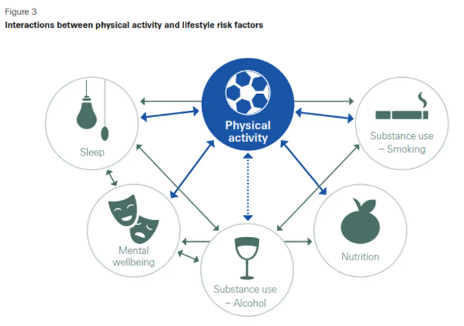 physical activity and life style risk factors