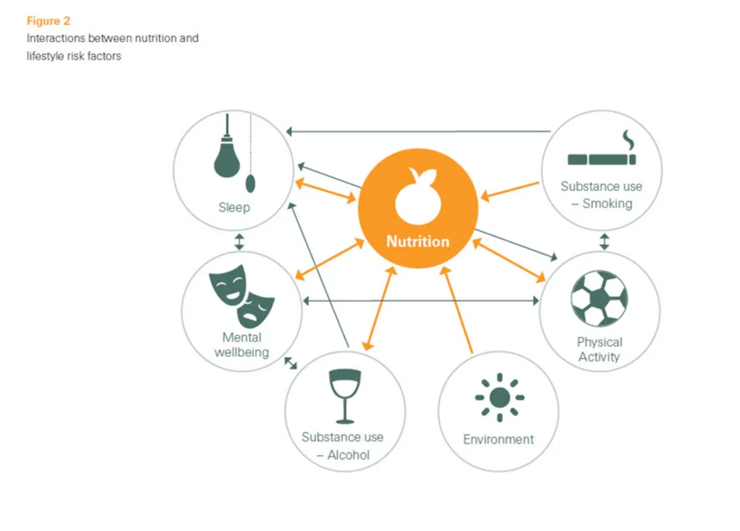 interactions-between-nutrition-lifestyle-risk-factors