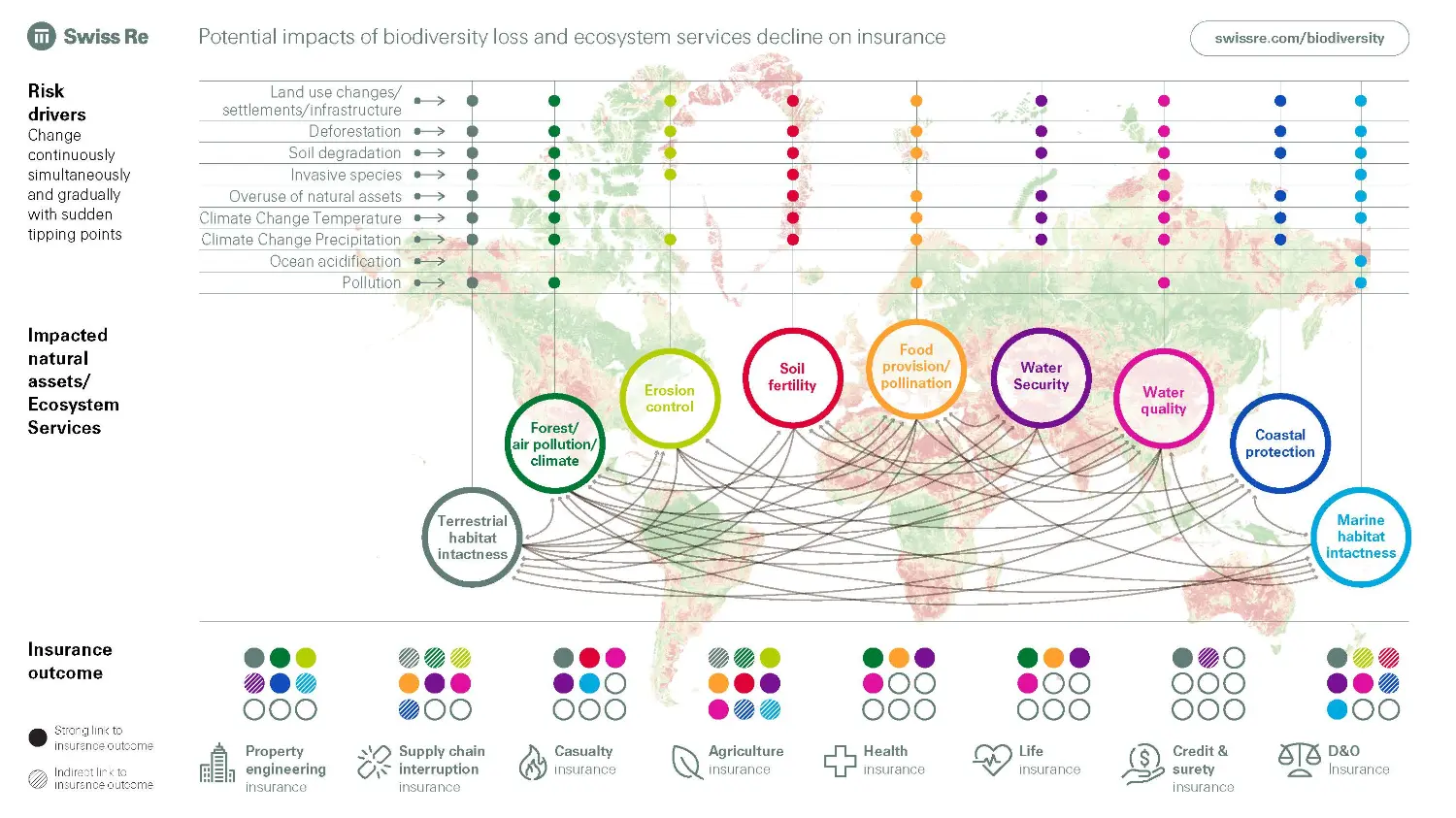 A graphic shows potential impacts of biodiversity loss and ecosystem services decline on insurance