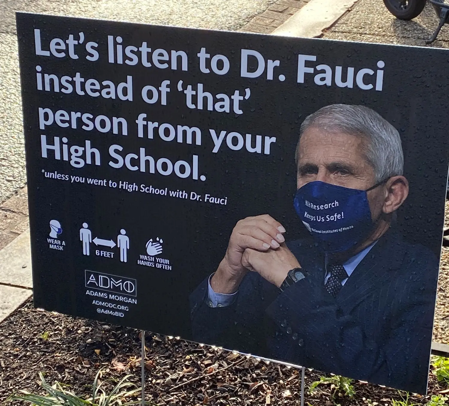 dr-fauci-picture-taken-by-sarah-parker