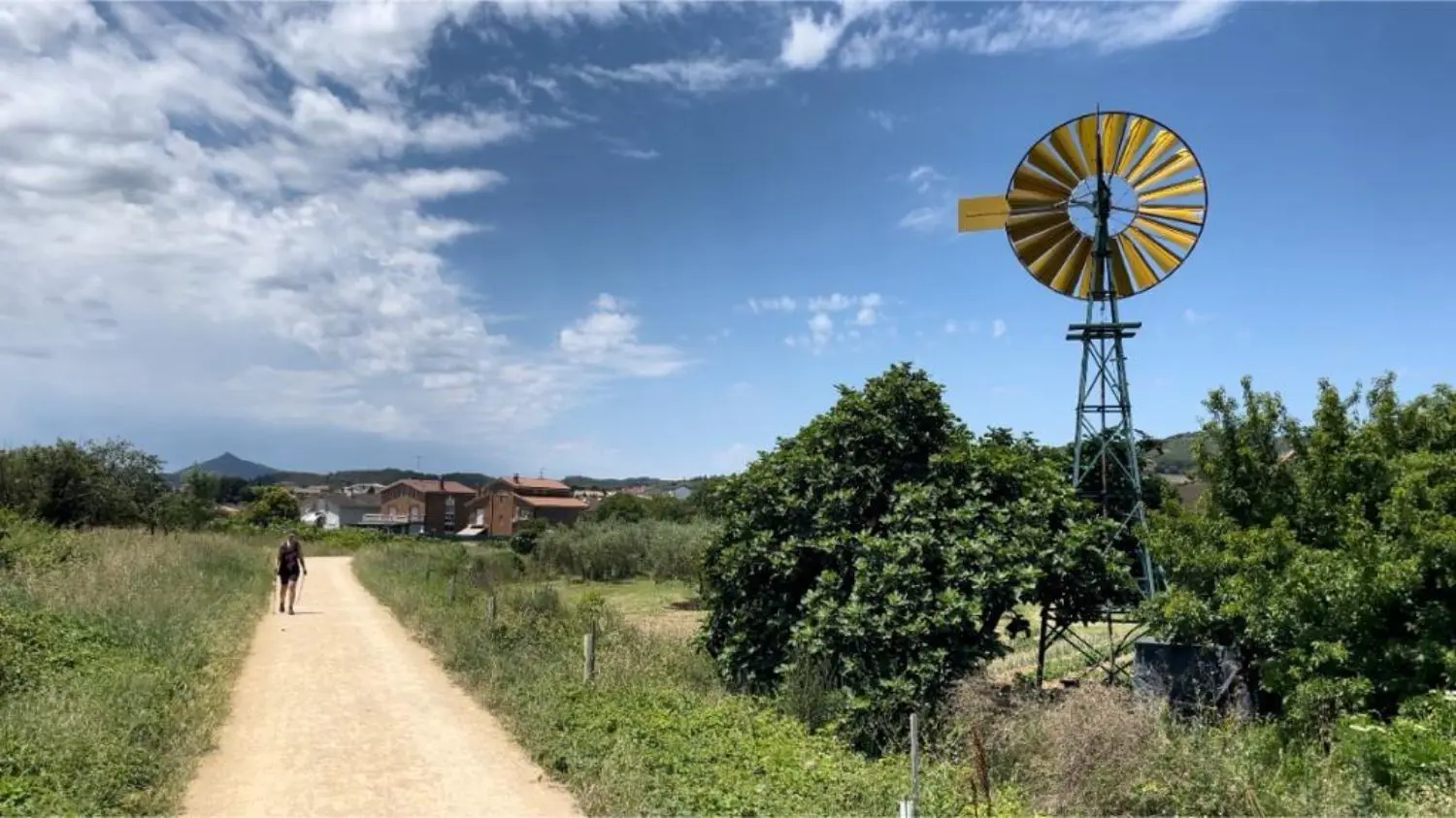 Gallery 10 - PHOTO-2023-11-02-01-19-16 4