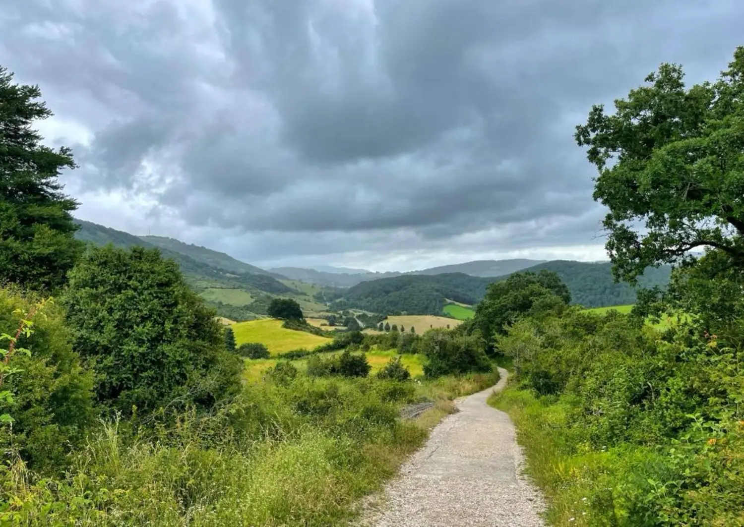 Gallery 2 - PHOTO-2023-11-02-01-19-16 3