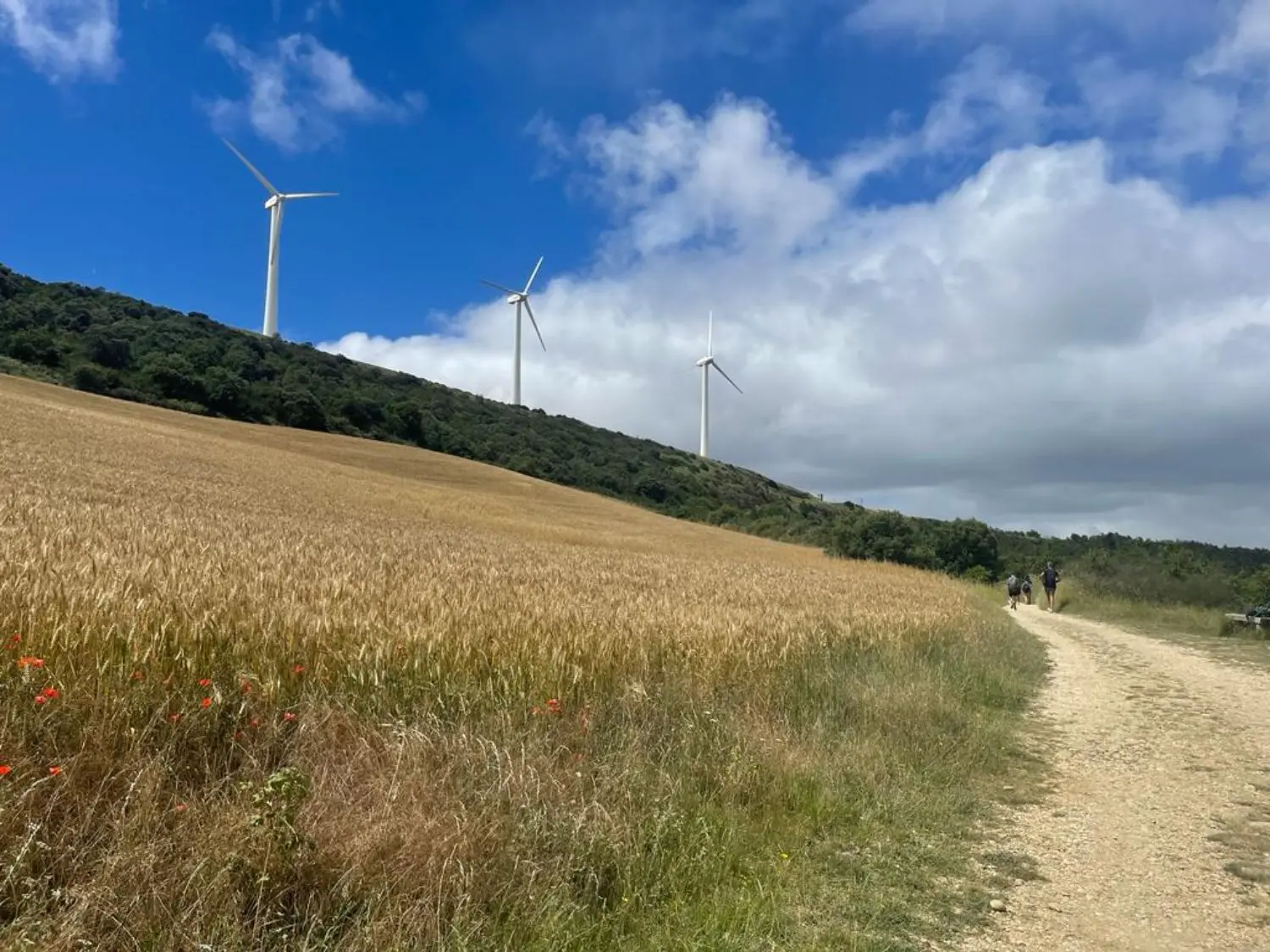 Gallery 4 - PHOTO-2023-11-02-01-18-25 3