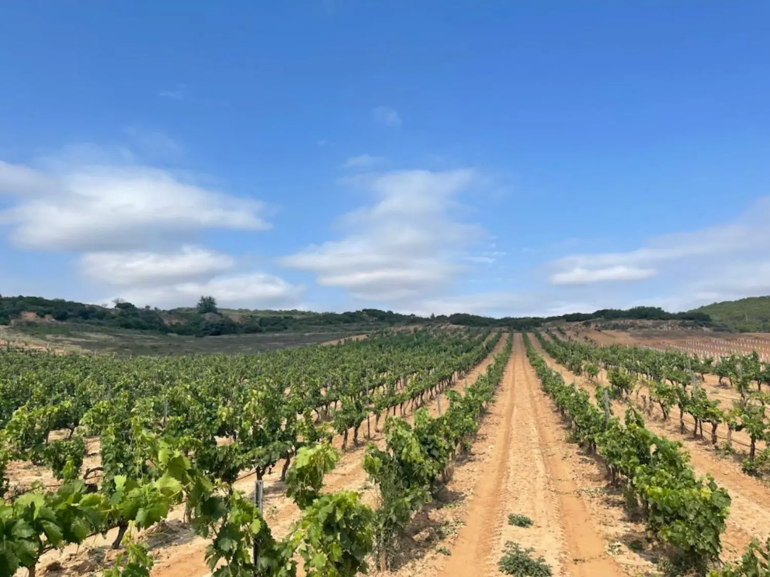 Gallery 6 - PHOTO-2023-11-02-01-18-25 4