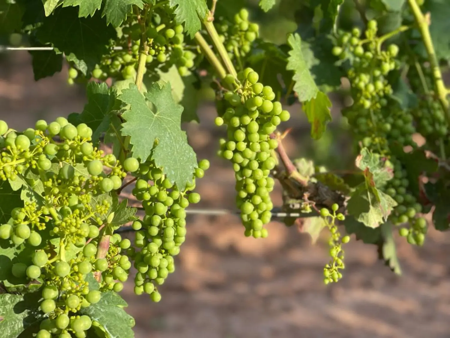 Gallery 7 - PHOTO-2023-11-02-01-19-16