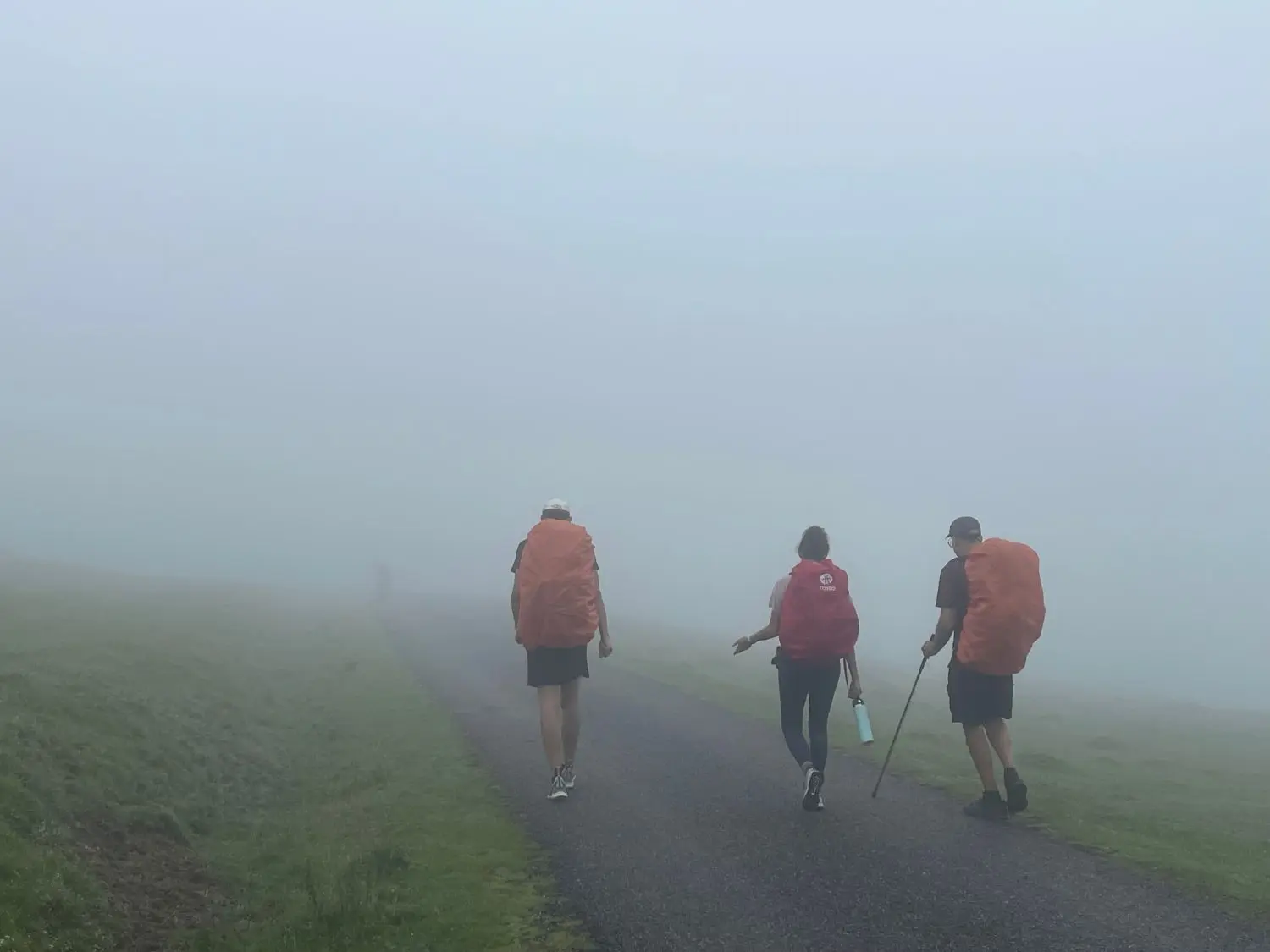 Gallery 8 - IMG_9951