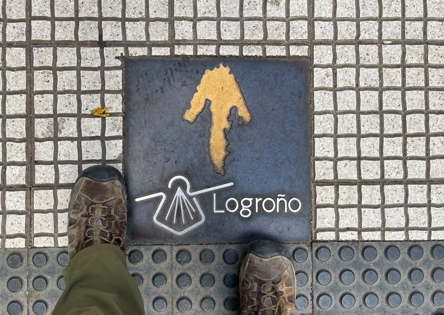 Gallery 9 - image00061