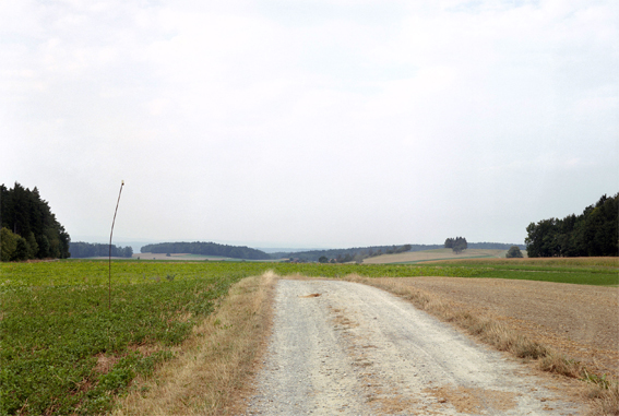 struth-KB0724-feldweg