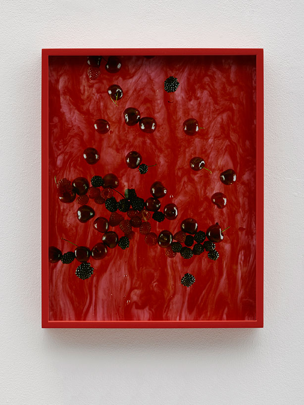 lassry-KB1044-cherries