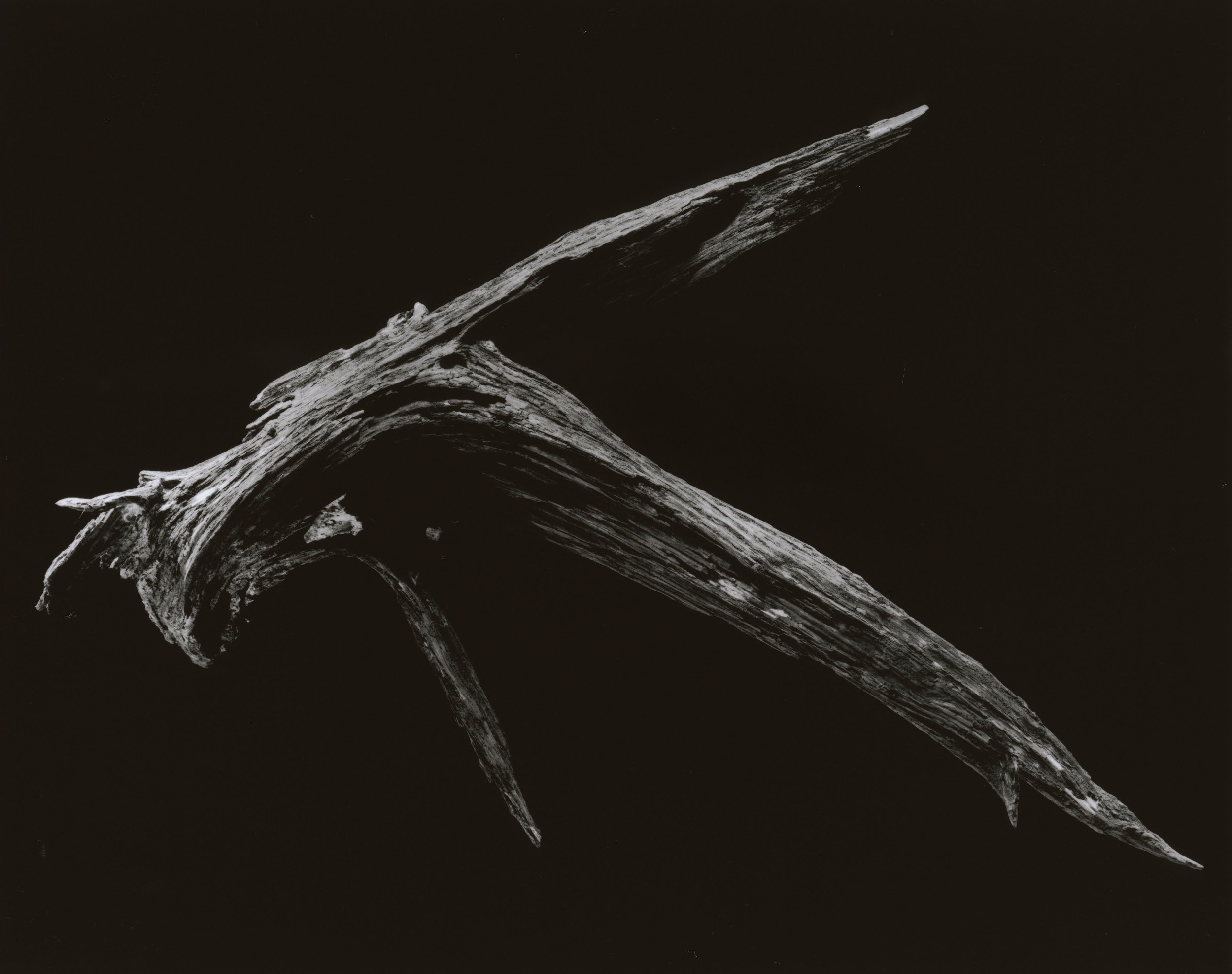 yamamoto-KL2217-10-3024-falcon