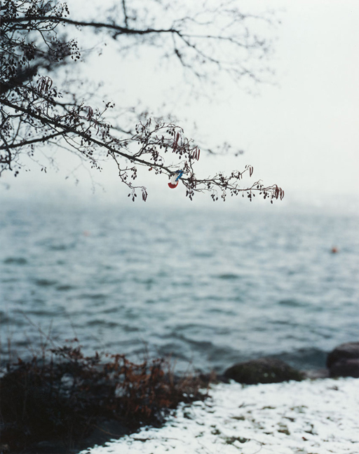 bustamante-KL1630-LP11