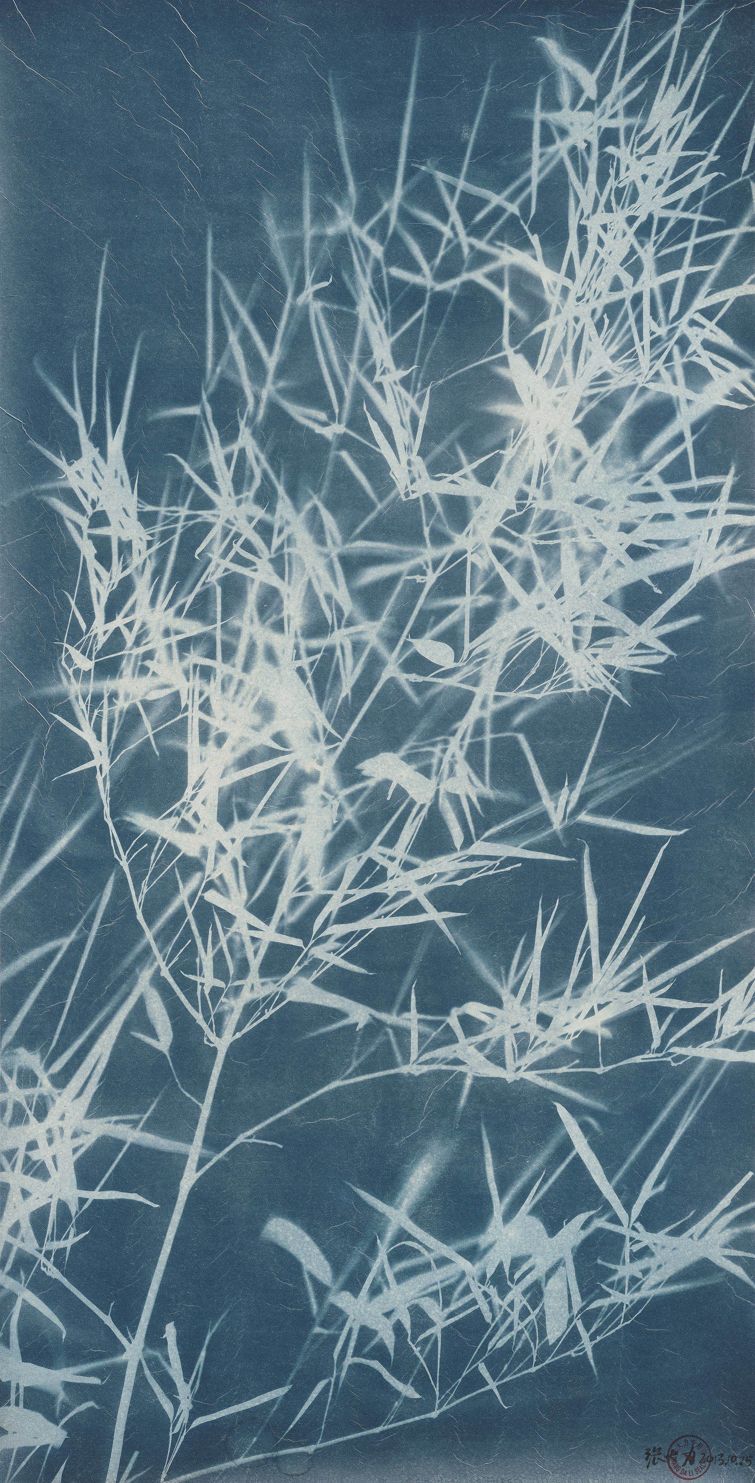 dali-KB1244-bamboo 10