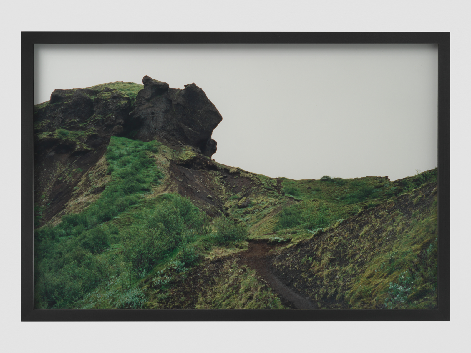 eliasson-KL1612-5-thorsmork-close-up-series