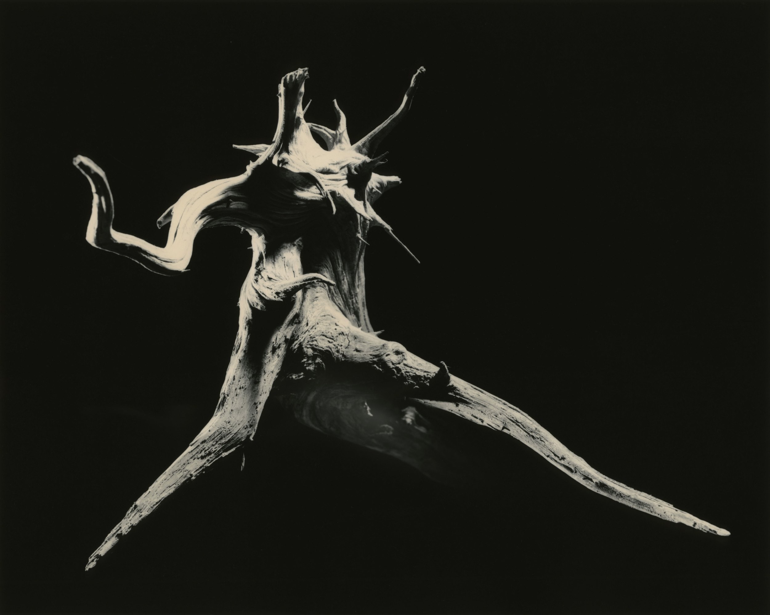 yamamoto-KL2217-14-3029-dance-w