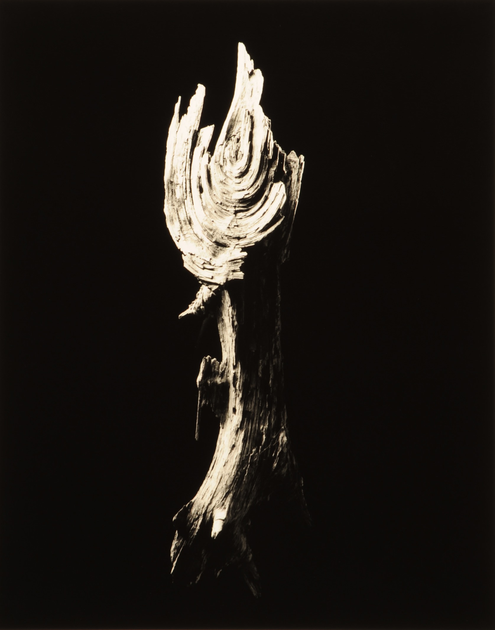 yamamoto-KL2217-9-3009-torch