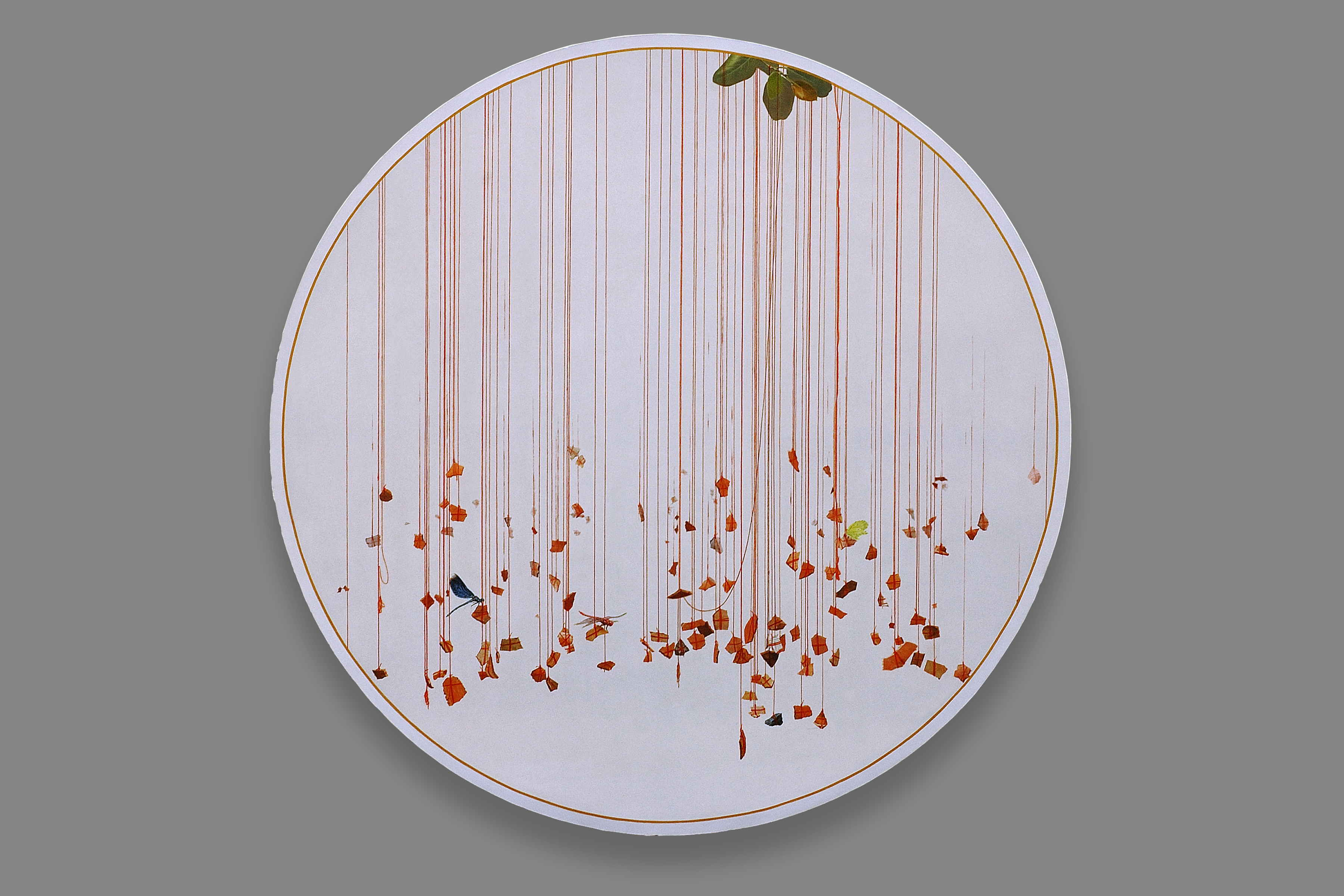 mondal-KB1156-spirit