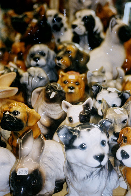 pfeiffer-KL2362-2-untitled-dogs