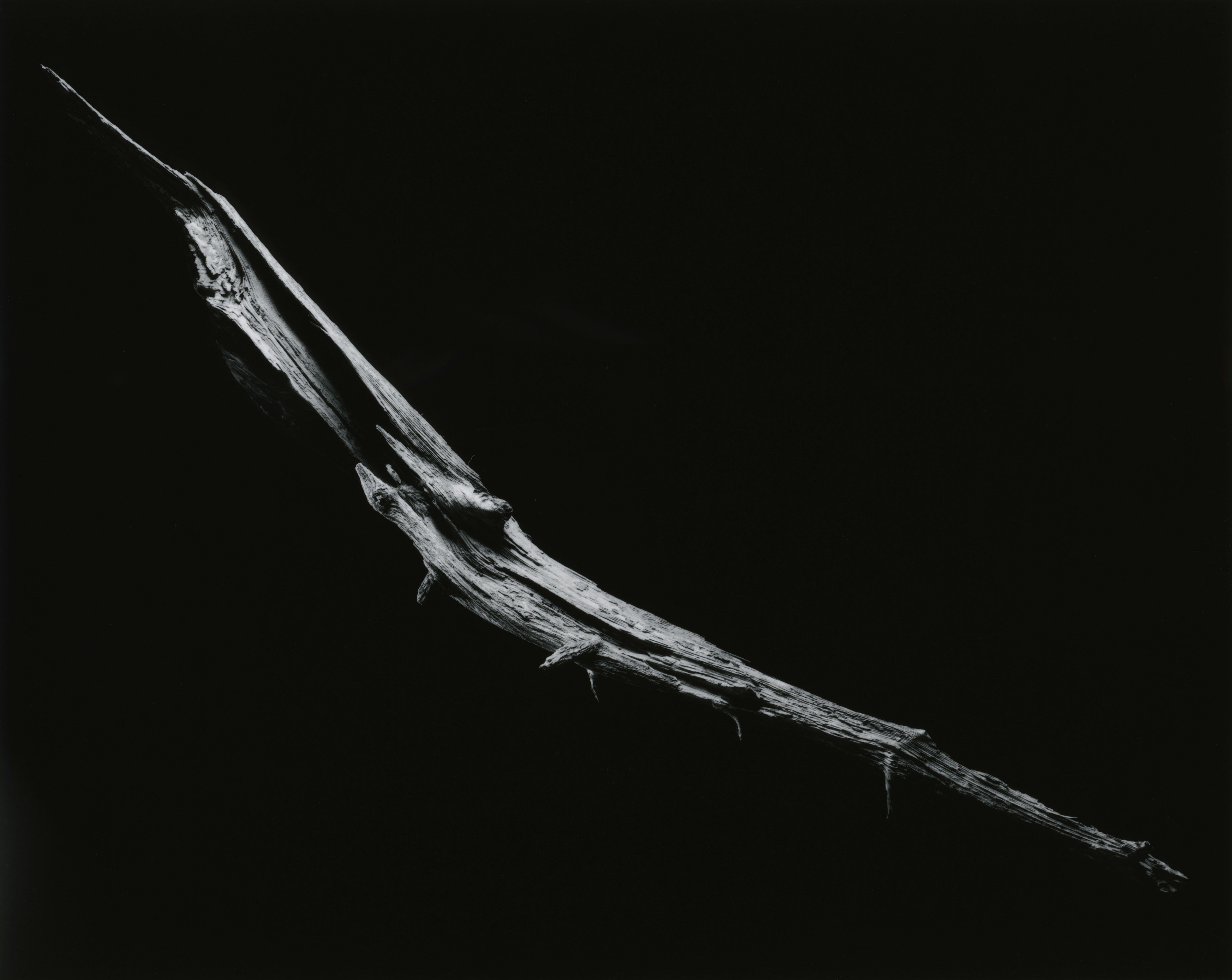 yamamoto-KL2217-3-3019-kon