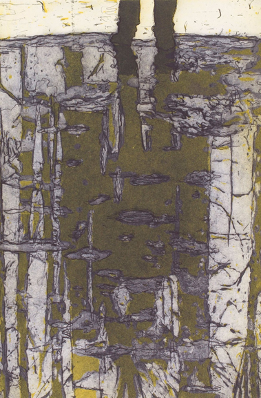 doig-KL1581-9-grasshopper-reflection 