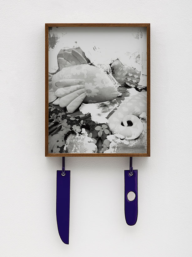 lassry-KB1045-untitled-fish