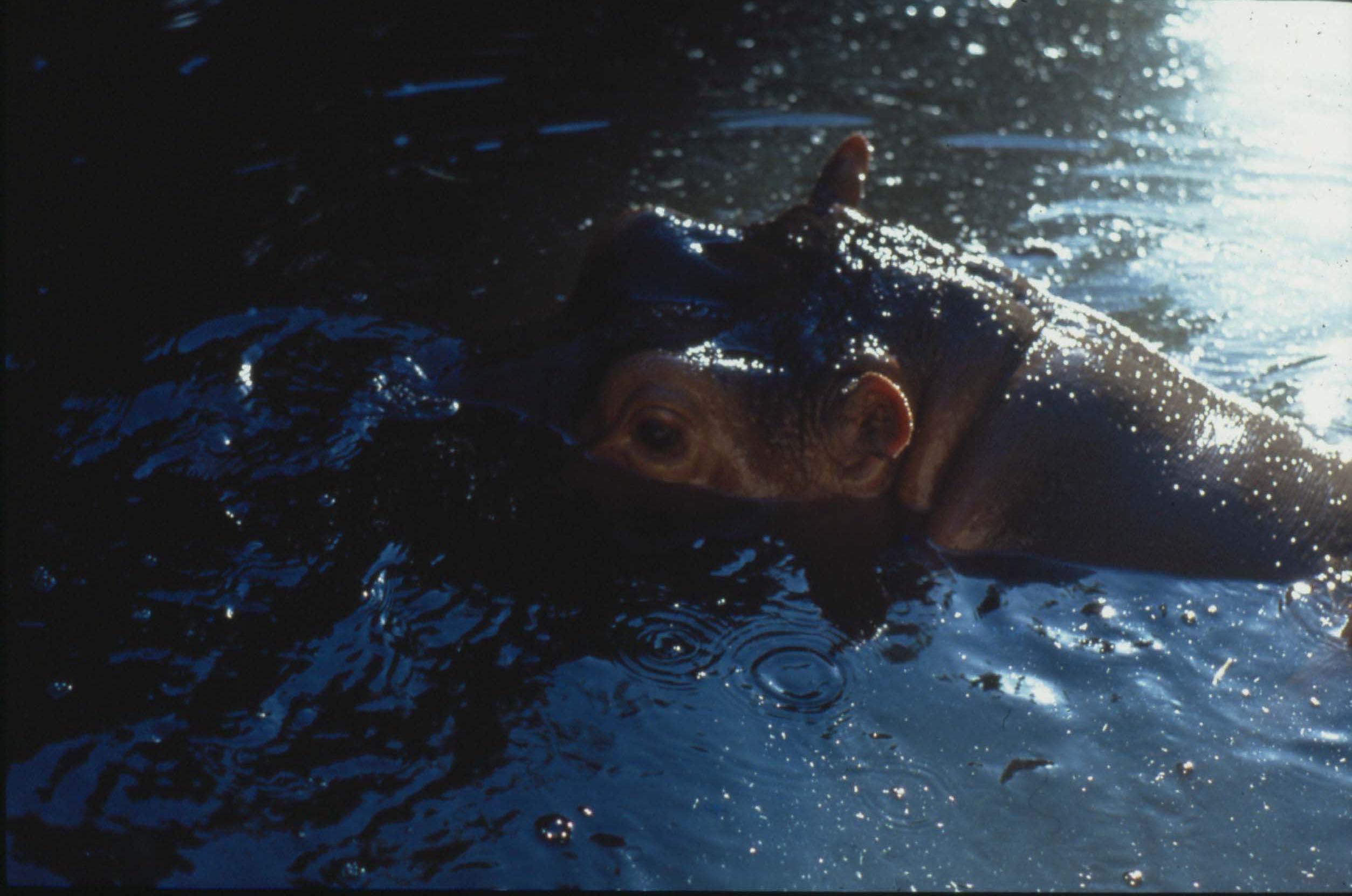 fischli-weiss-KL1686-3-untitled