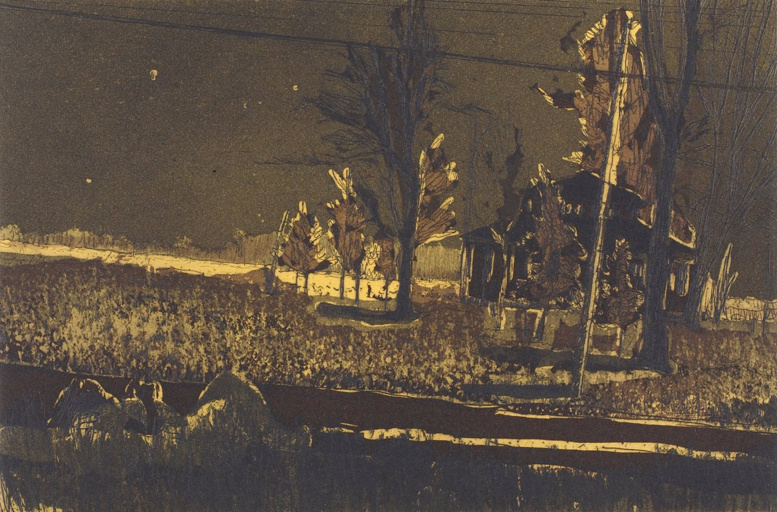 doig-KL1581-4-grasshopper-daytime-astronomy