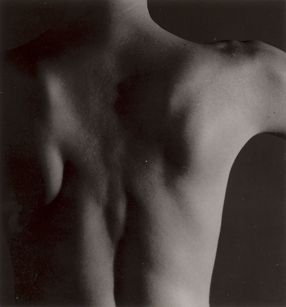 burkhard-KB0430-torso