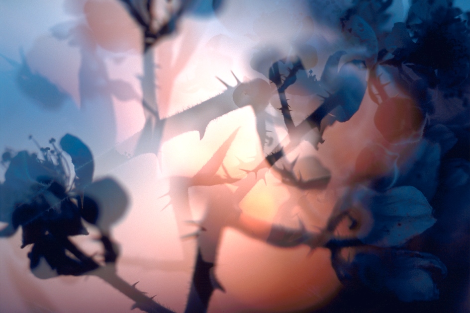 fischli-weiss-KL1524-untitled