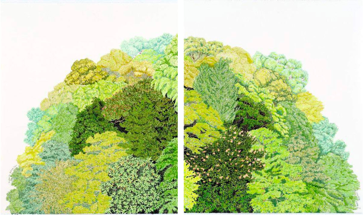 kou-KB1191-face-to-green