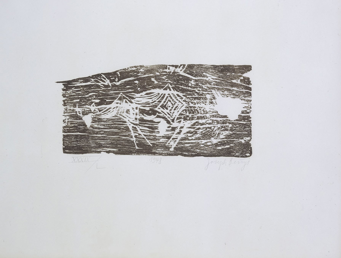 beuys-ART20078-propylaeen