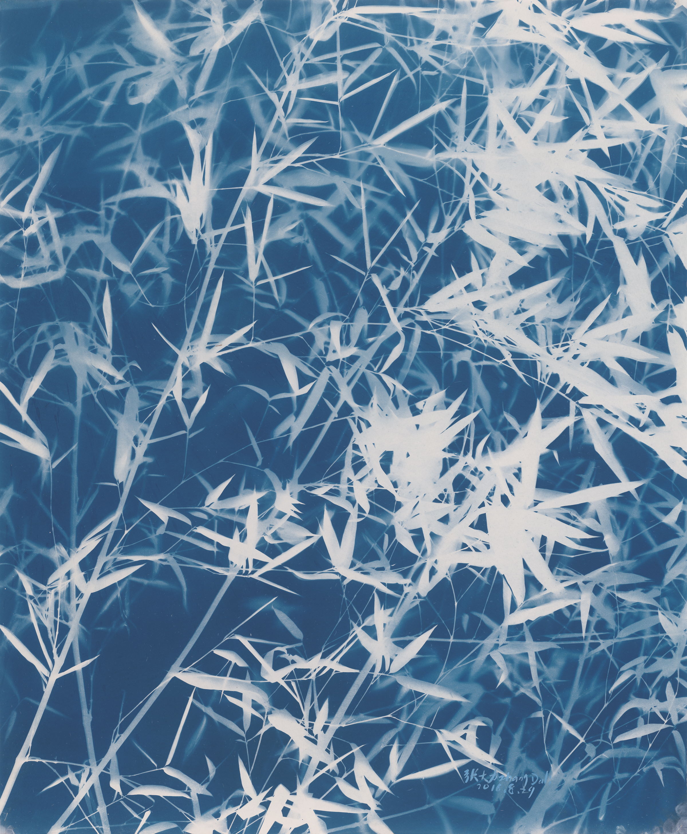 dali-KB1248-bamboo 8