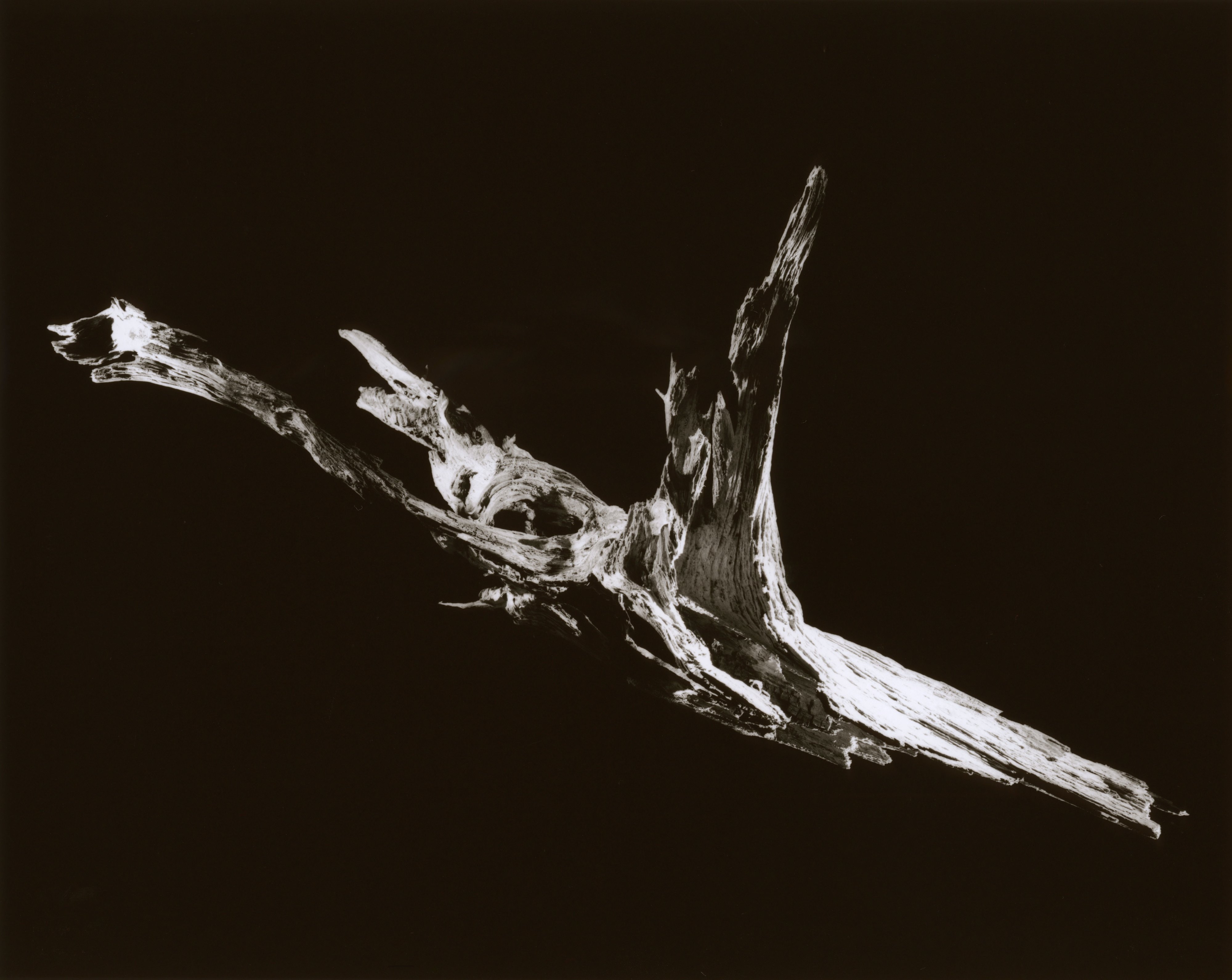 yamamoto-KL2217-7-3016-ho