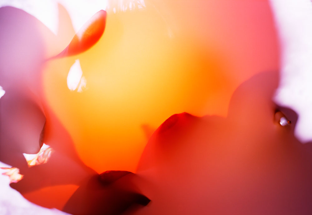 evans-j-KL2311-1-untitled