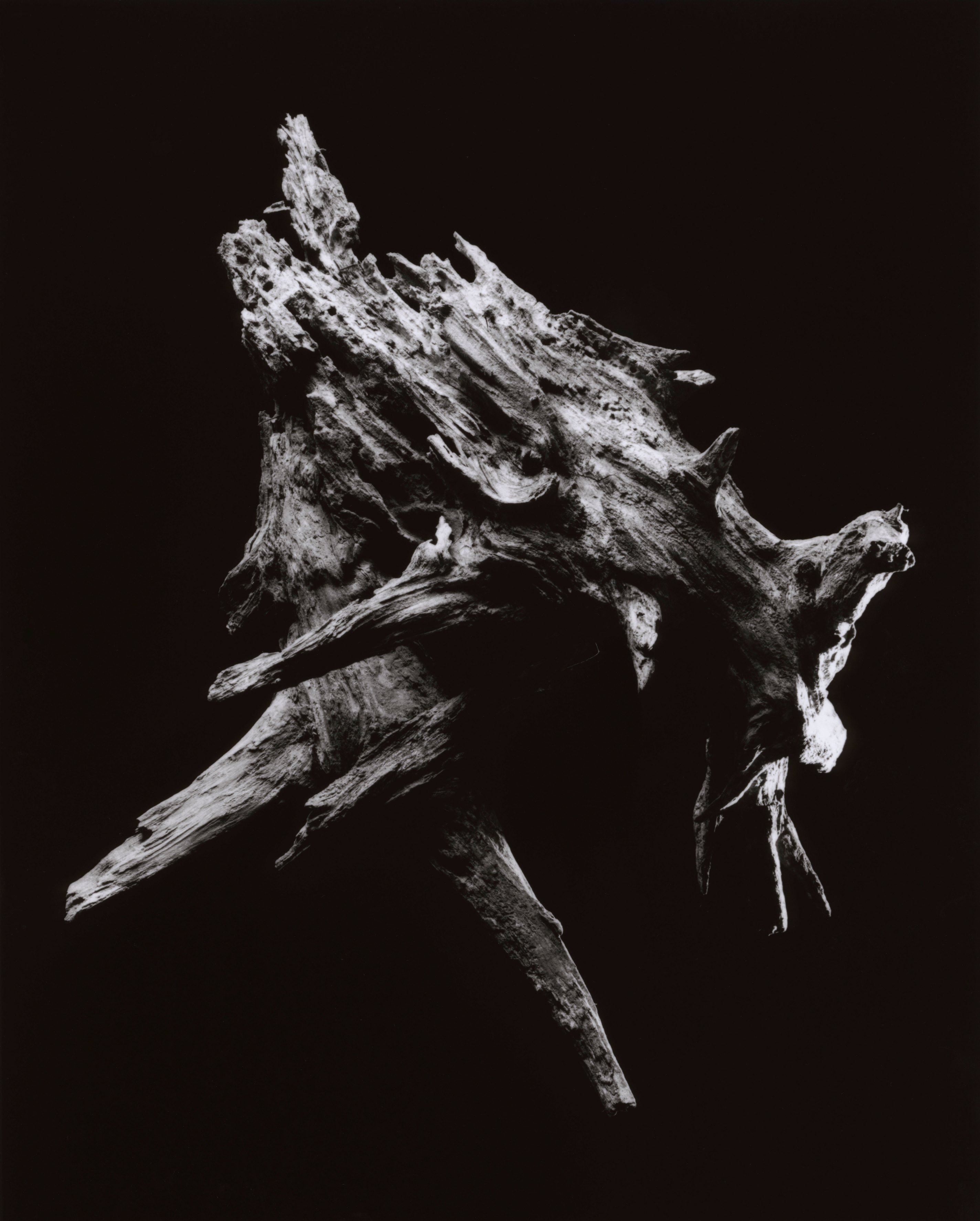 yamamoto-KL2217-4-3011-hunter