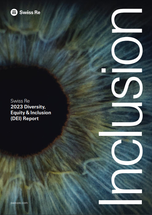 Preview of DEI report 2023