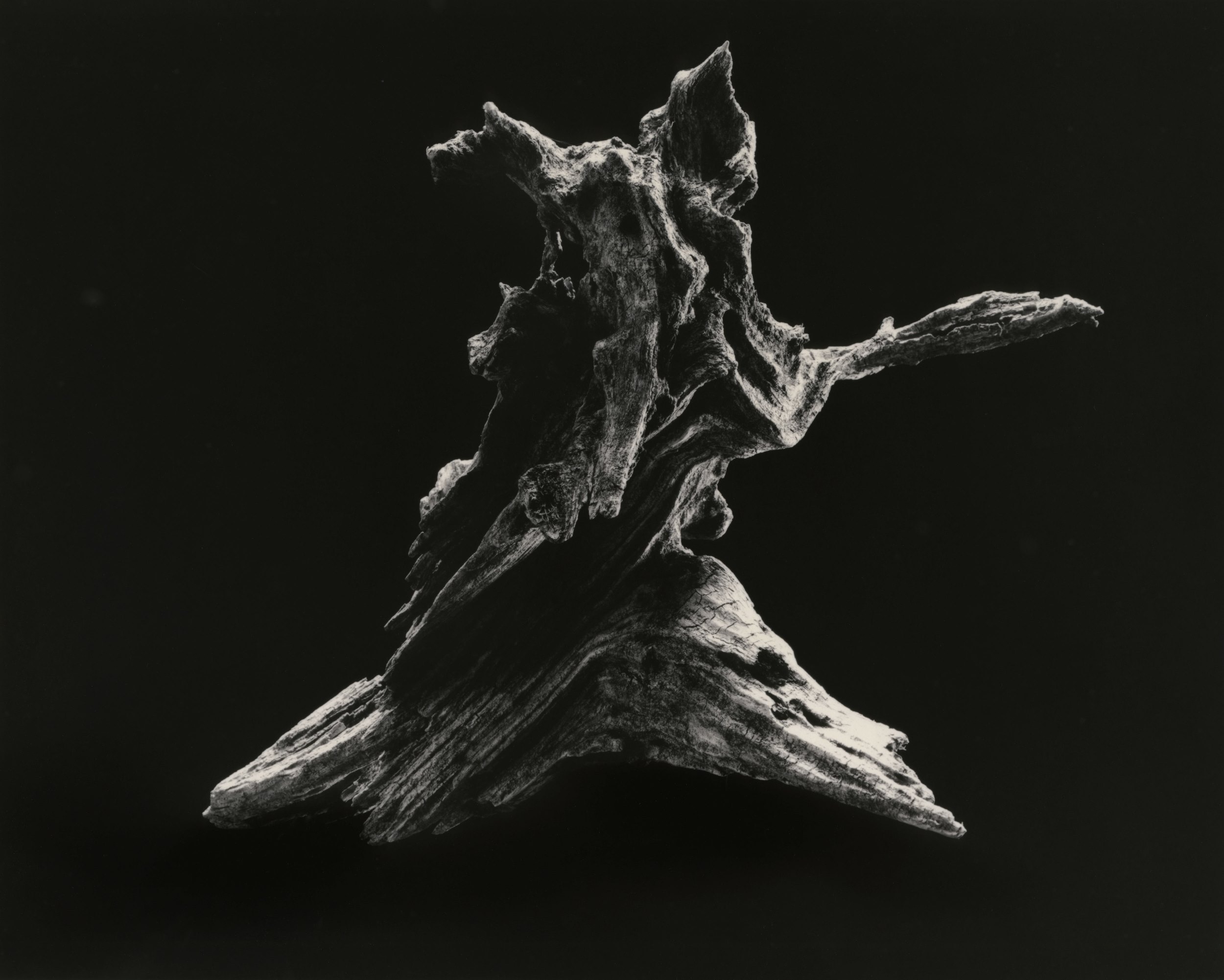 yamamoto-KL2217-13-3037-dance-e