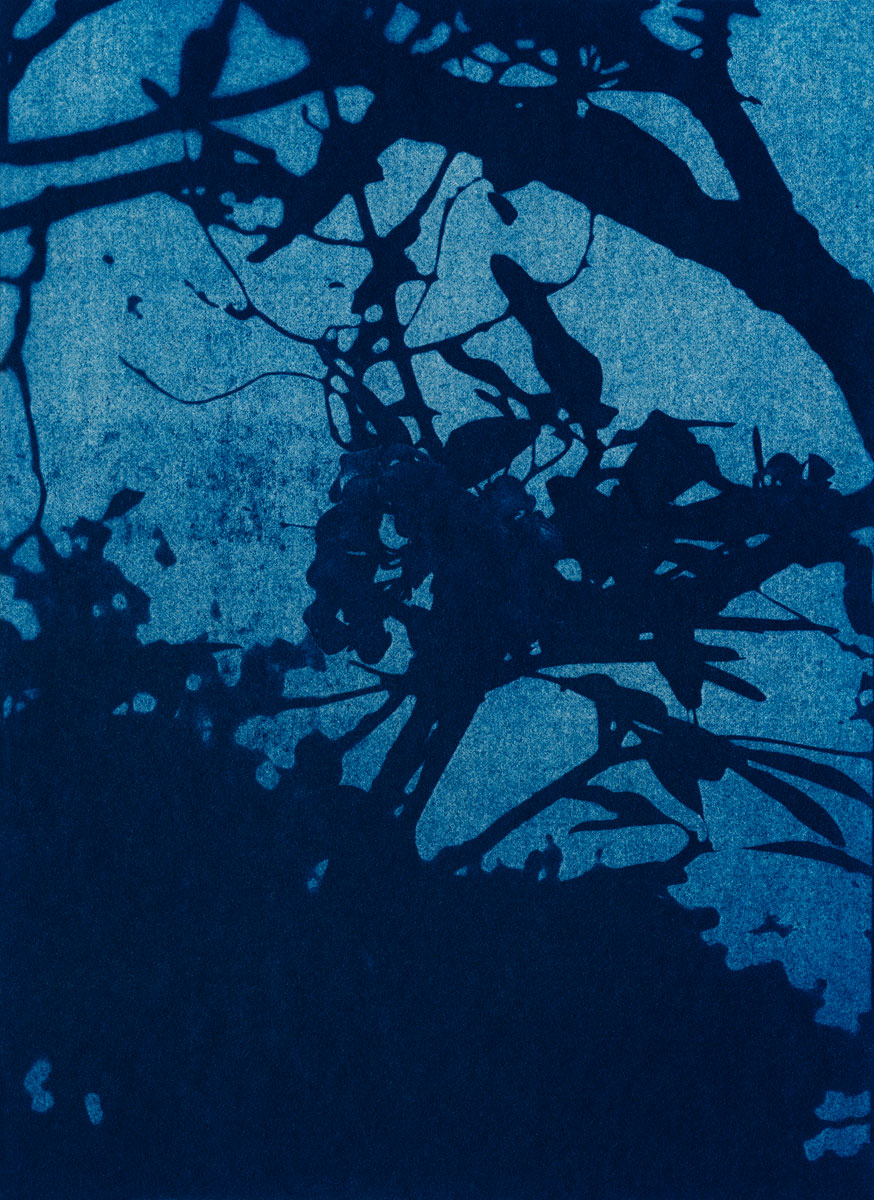 mandry-KL2307-2-5min-to-the-sun-branch