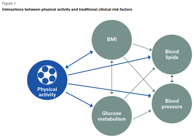 Physical activity with risk factors
