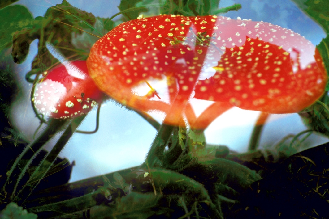 fischli-weiss-KL1547-untitled