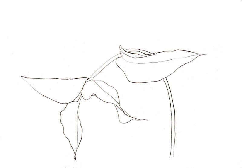 kelly-KL1475-philodendron