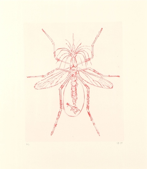 bourgeois-KL1569-mosquito