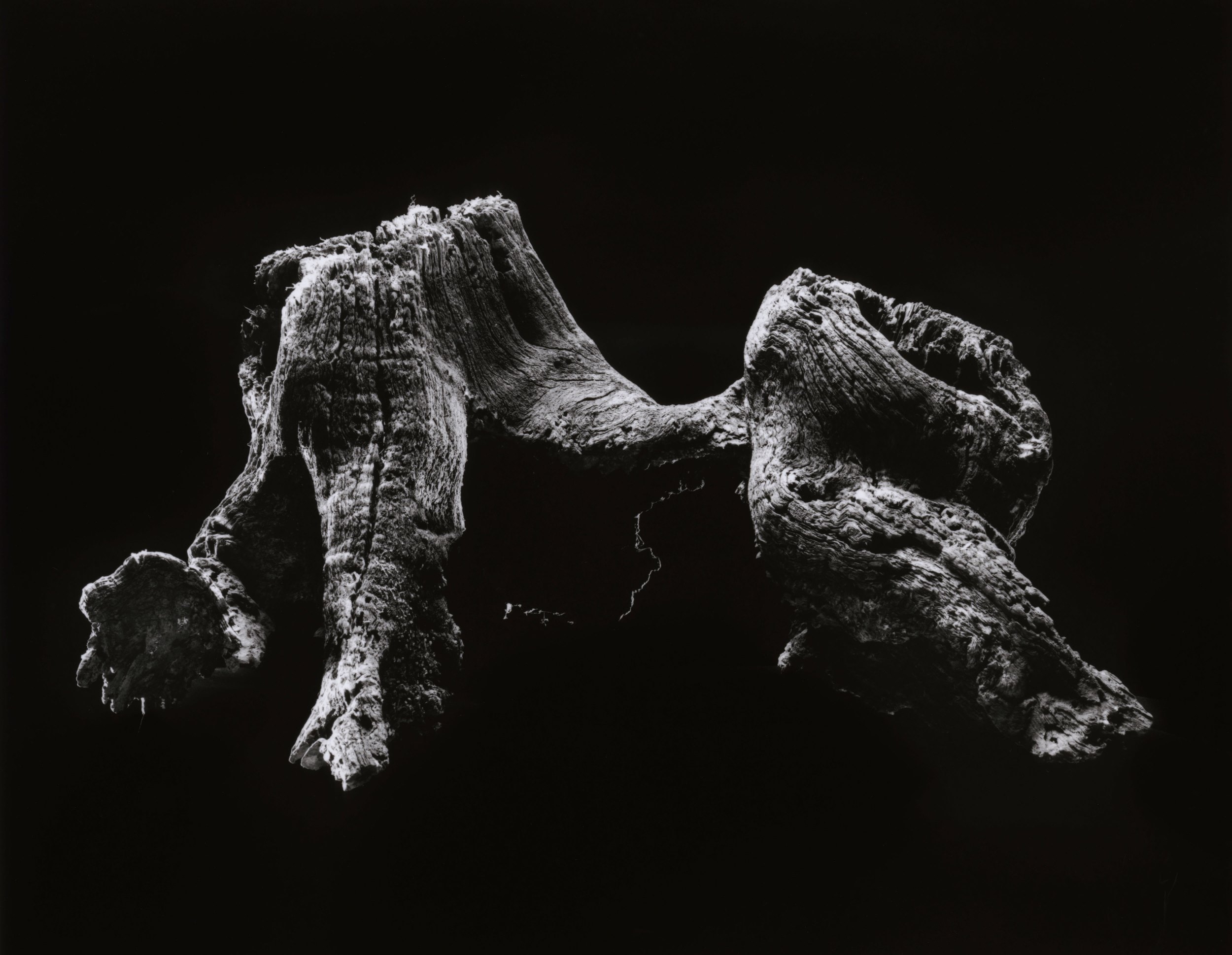 yamamoto-KL2217-2-3008-point