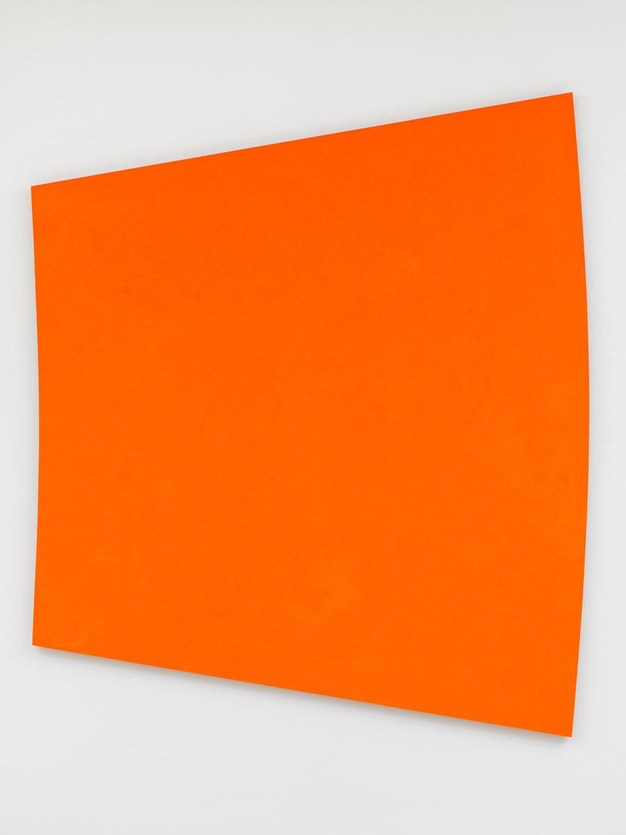 rodriguez-KB0992-limbs