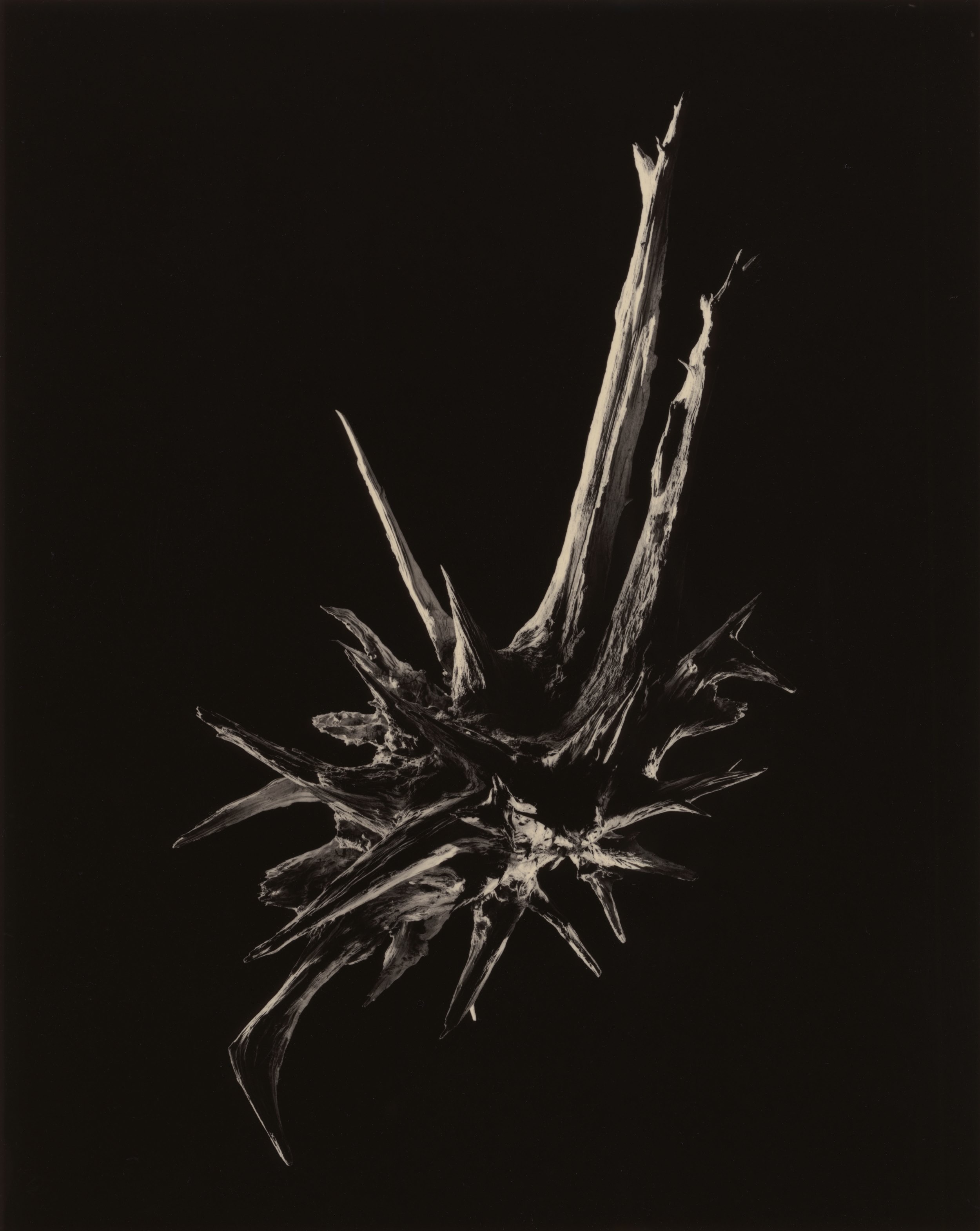 yamamoto-KL2217-18-3041-free-at-last