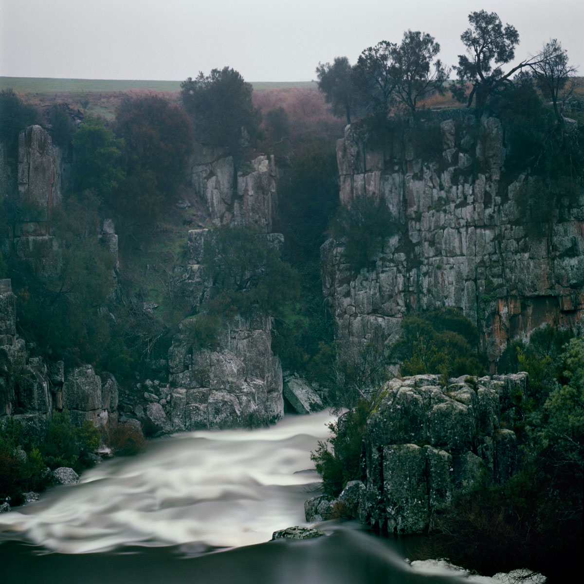 almond-KL2315-fullmoon-at-tasman-gorge