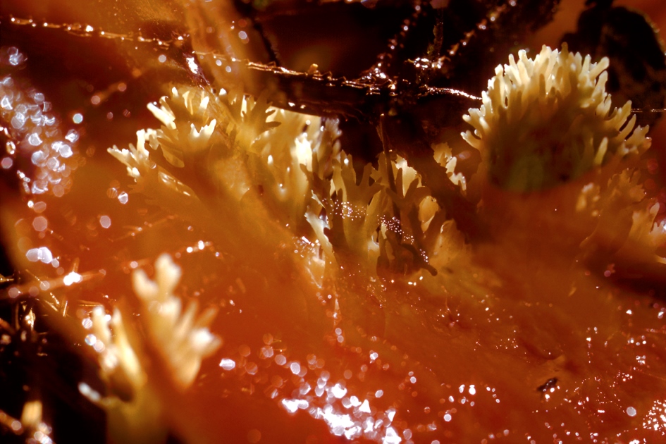 fischli-weiss-KL1537-untitled