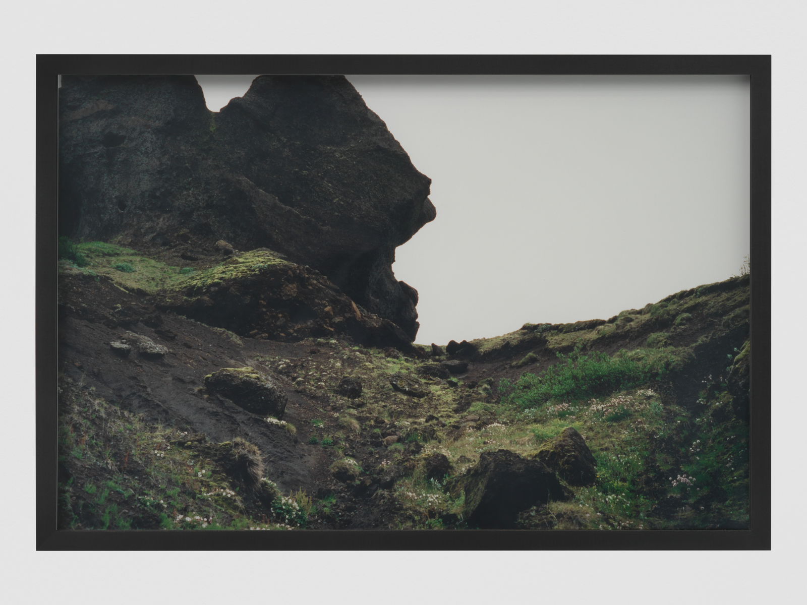 eliasson-KL1612-8-thorsmork-close-up-series