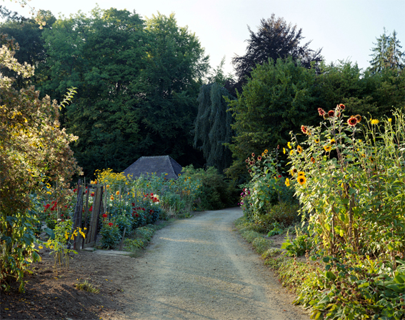 struth-KL1501-garten