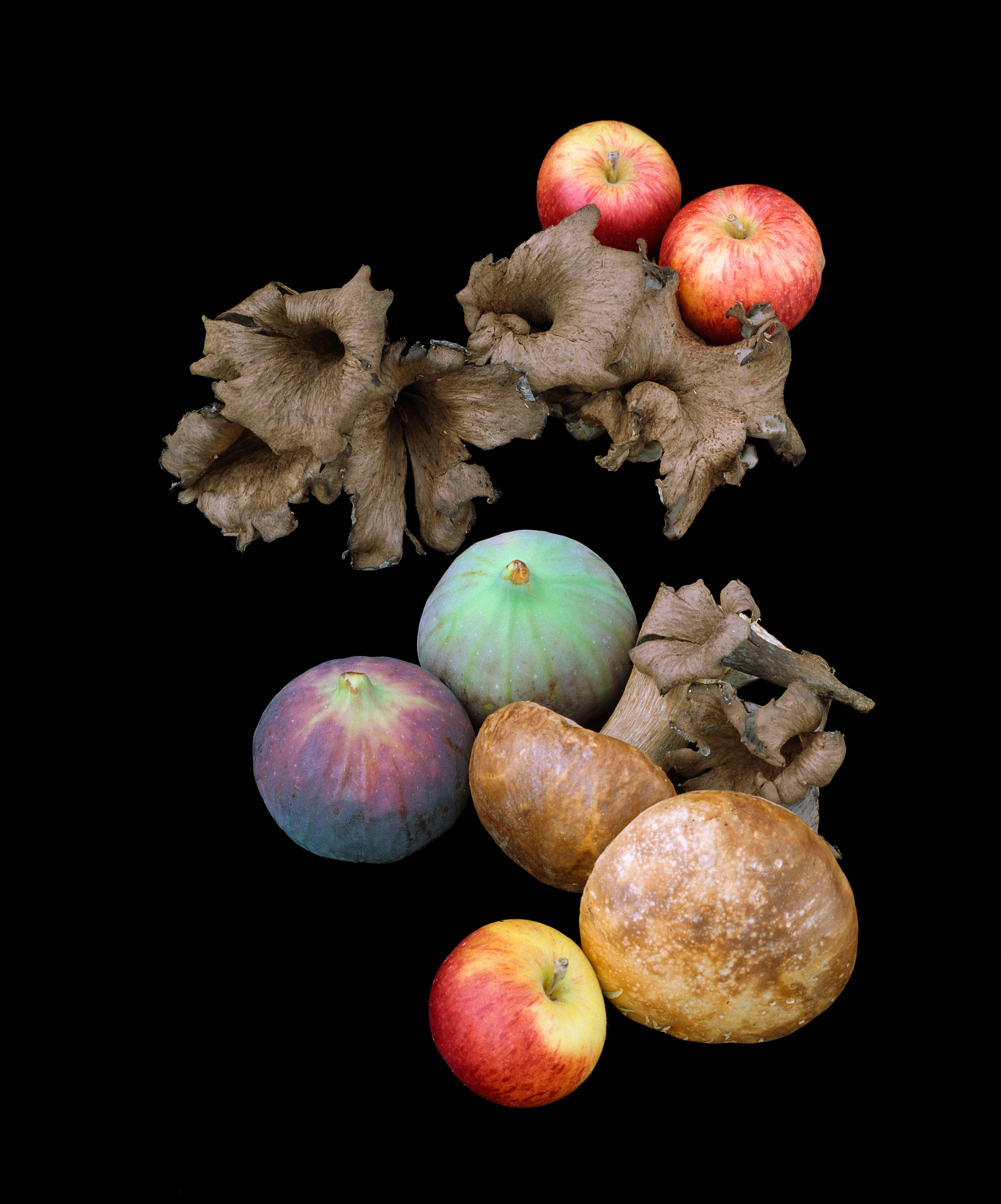 shahbazi-KL1870-stilleben